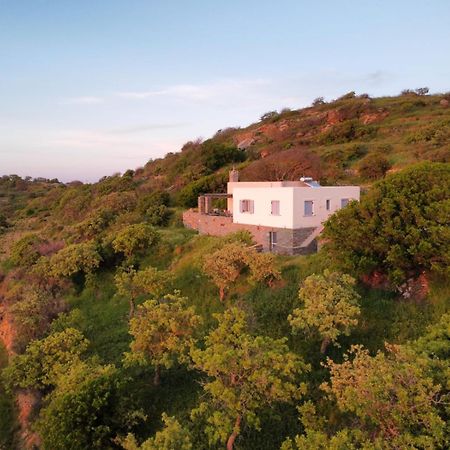 Cycladic Villa With Sea View! Ioulis Eksteriør billede
