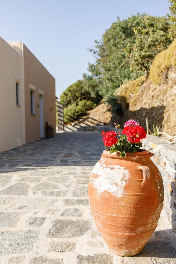 Cycladic Villa With Sea View! Ioulis Eksteriør billede