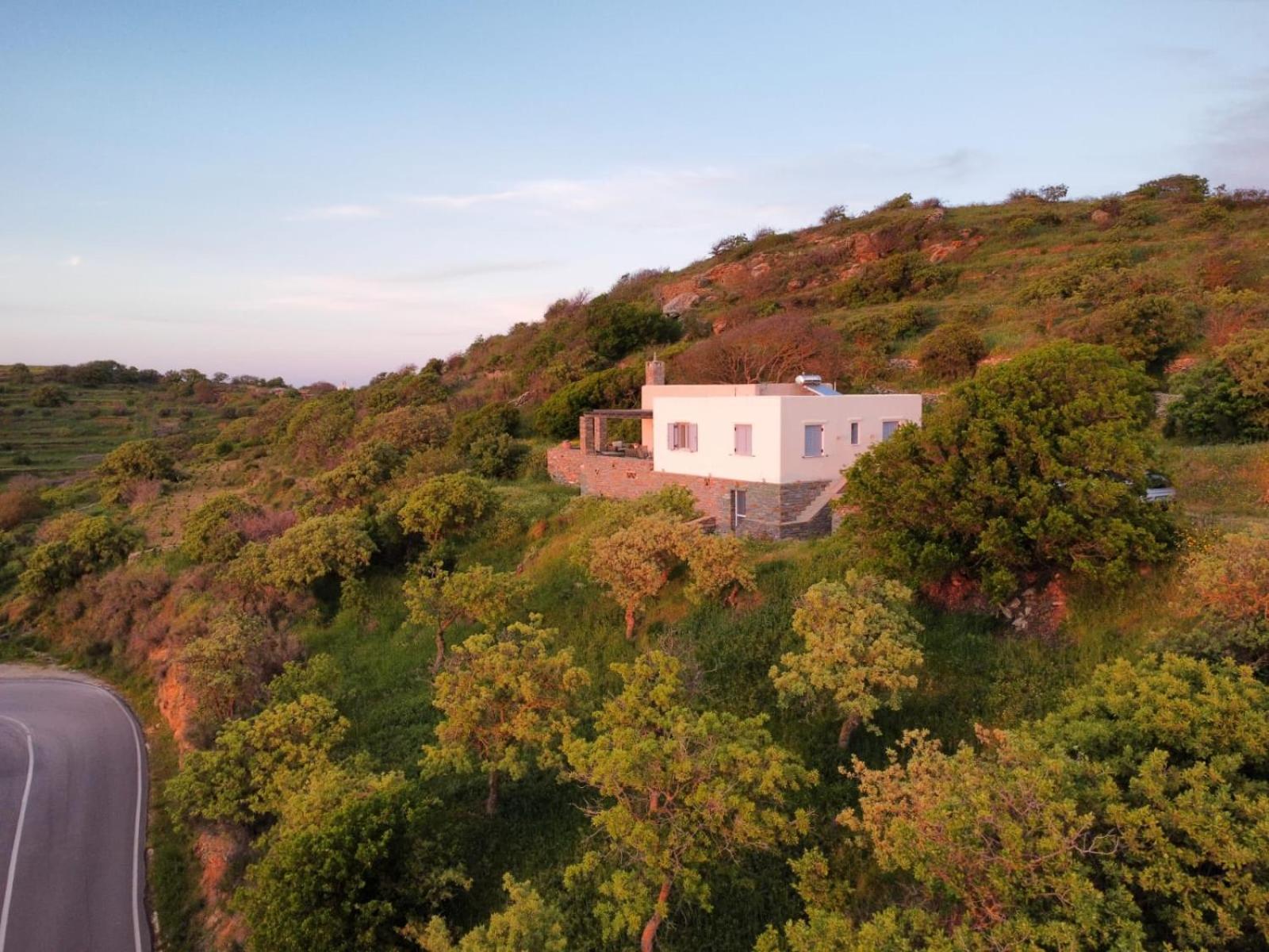 Cycladic Villa With Sea View! Ioulis Eksteriør billede